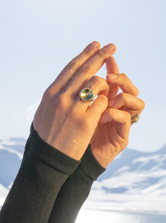 FLUX RING