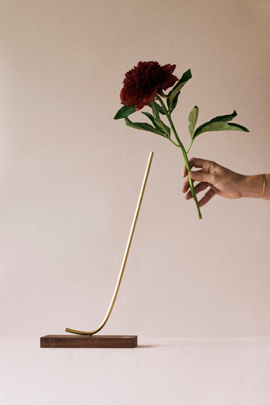 VASE BANKSIA
